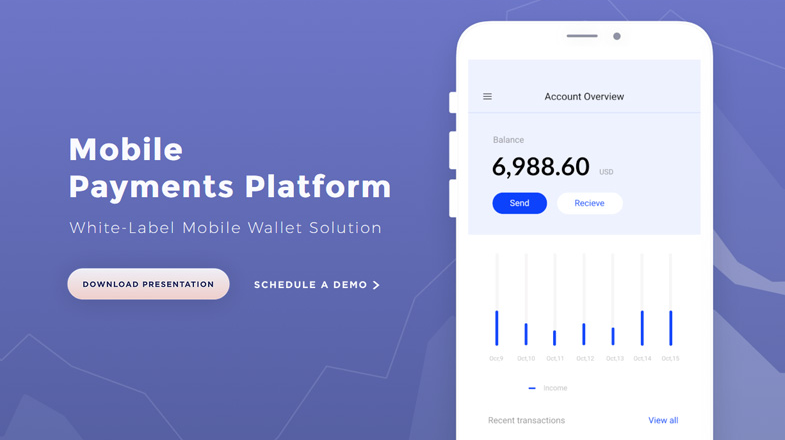 Velmie Review: White-Label Wallet & Payment Systems Provider