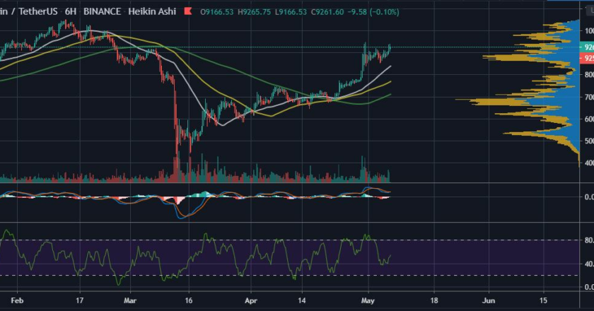 Pantera Capital CEO: Bitcoin (BTC) Could Hit $115k after Halving