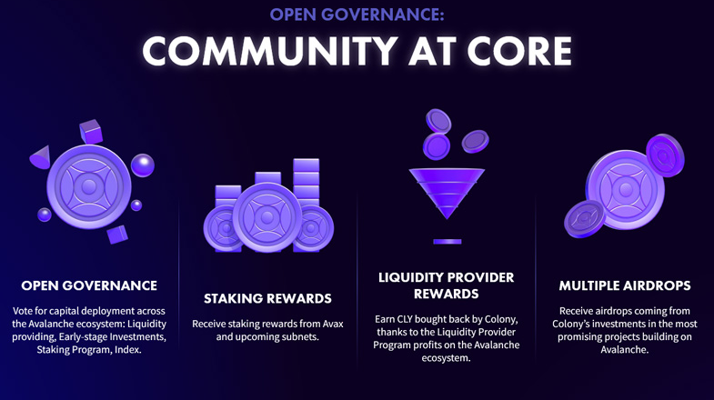 Colony: Community-Driven Avalanche Ecosystem Accelerator