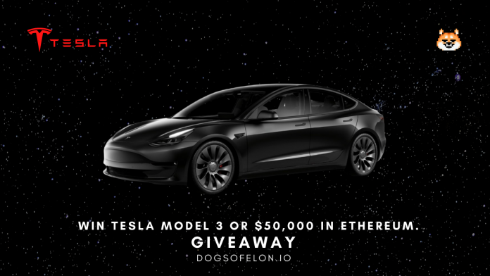 Dogs of Elon Are Giving Away a Tesla Model 3 or $50,000 in Ethereum