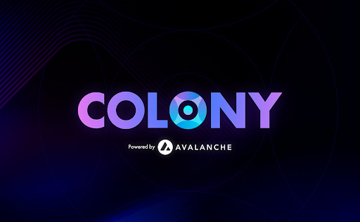 Colony Raises $18.5 Million To Fuel Next-Generation Applications In The Avalanche Ecosystem